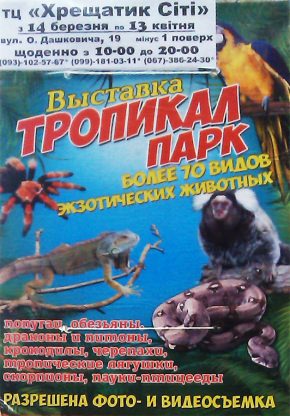 Постер