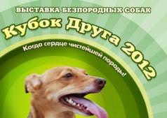 Кубок друга 2012