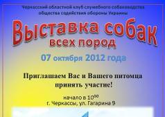 Выставка собак Всех пород