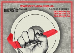 «Звитяга-2015»