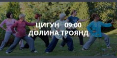 Fitness open air. Цигун