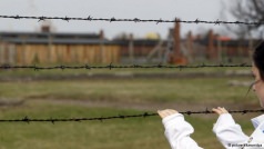 «Життя на межі виживання»