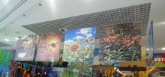 Фотовиставка мальовничих пейзажів в ТРЦ «Любава».