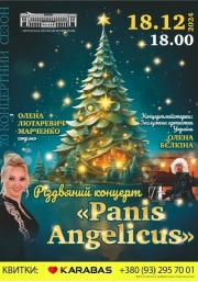 Різдвяний концерт