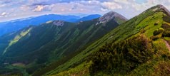 Встречаем лето в Горганах!