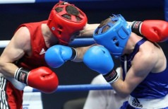 Чемпионат Черкасской области по боксу