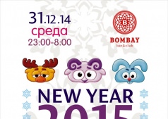 Новогодняя ночь 2015  !!!