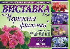 Виставка від черкаського клубу «Черкаська фіалочка».