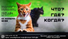 Что? Где? Когда? | НеКафе