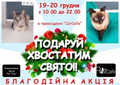 Подари хвостатым праздник!!!