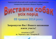 Выставка собак всех пород