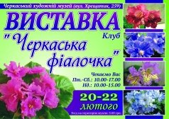 Черкасская фиалочка