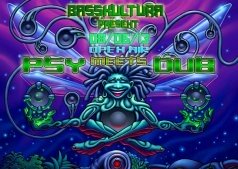 BASSKULTURA - 08/06/13 PSY MEETS DUB OPEN AIR 2