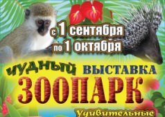 Выставка ЧУДНЫЙ Зоопарк - звери