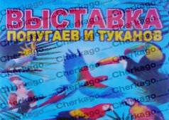 Выставка "Попугаев и туканов"
