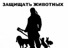 Спешим на помощь