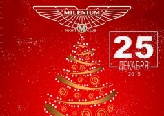 Merry Christmas party в "Millenium"