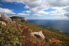 Новый год на южном берегу Крыма.
