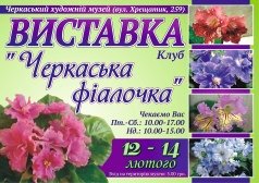 Выставка клуба "Черкасская фиалочка"