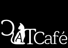 Котокиновечер в CatCafe