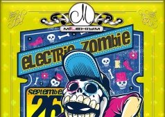Electro Zombie в Millenium club