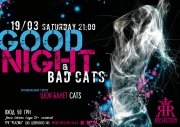 Вечеринка "GOOD NIGHT & BAD CATS" в Reflection Club