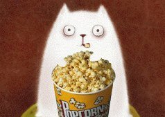 КОТОКИНОСЕАНС!